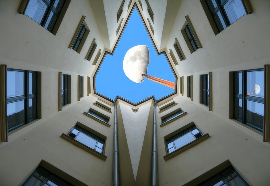 Galerie 1 - Bild 1 von Walter Bachmann