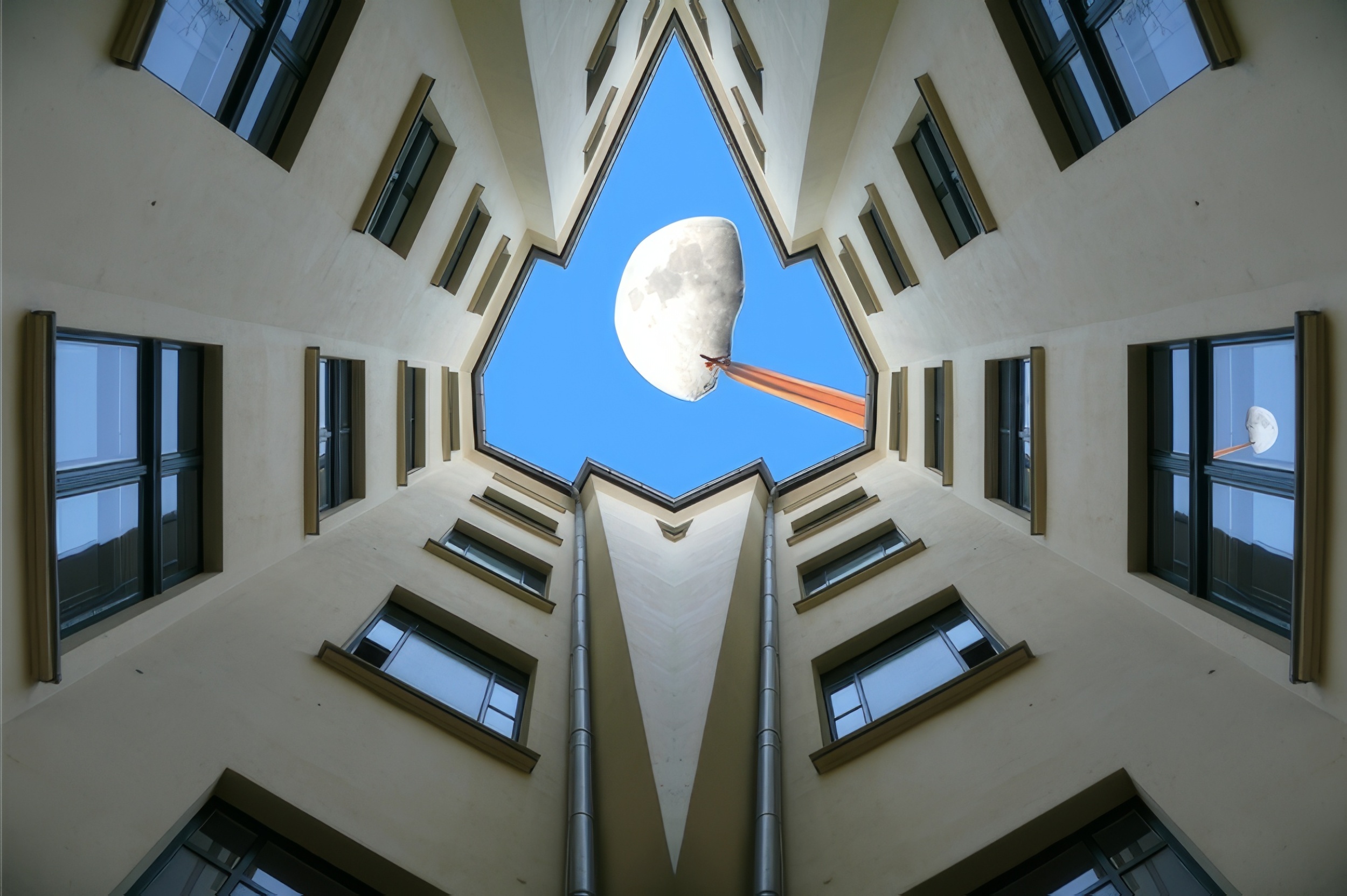 Galerie 1 - Bild 1 von Walter Bachmann