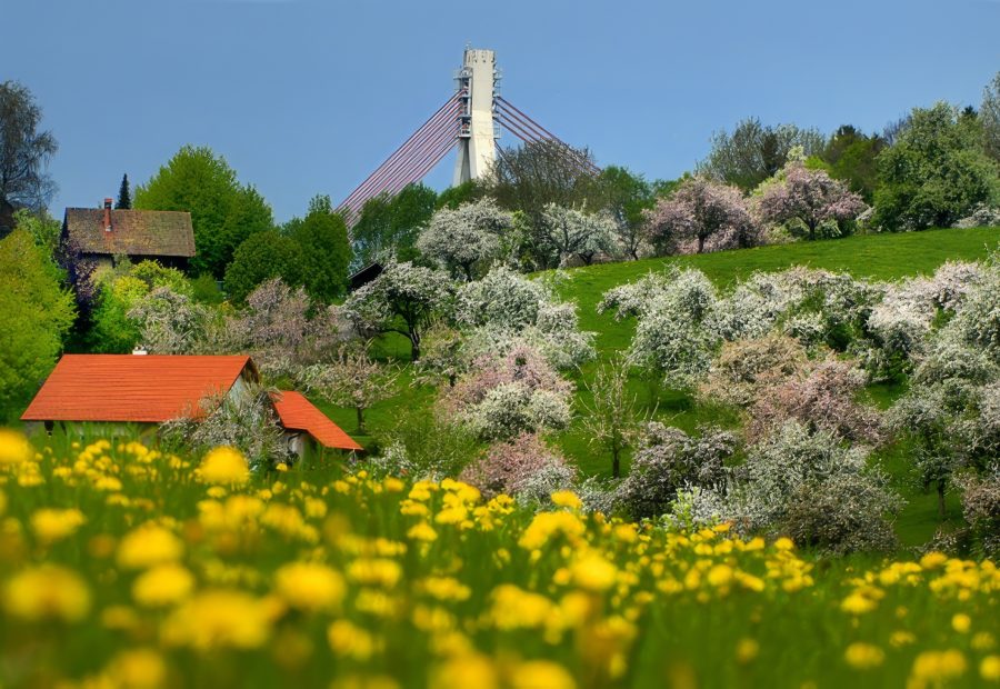 Galerie 1 - Bild 1 von Martin Möckel