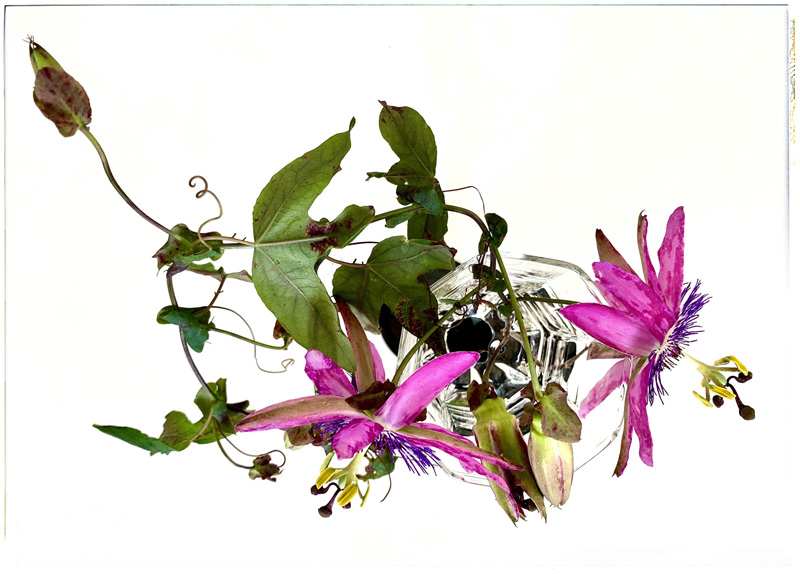 09. Platz - Christine Wendl 09. Platz - Christine Wendl