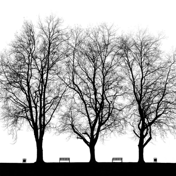 Hartmut Faustmann - 3+2+2 Hartmut Faustmann - 3+2+2
