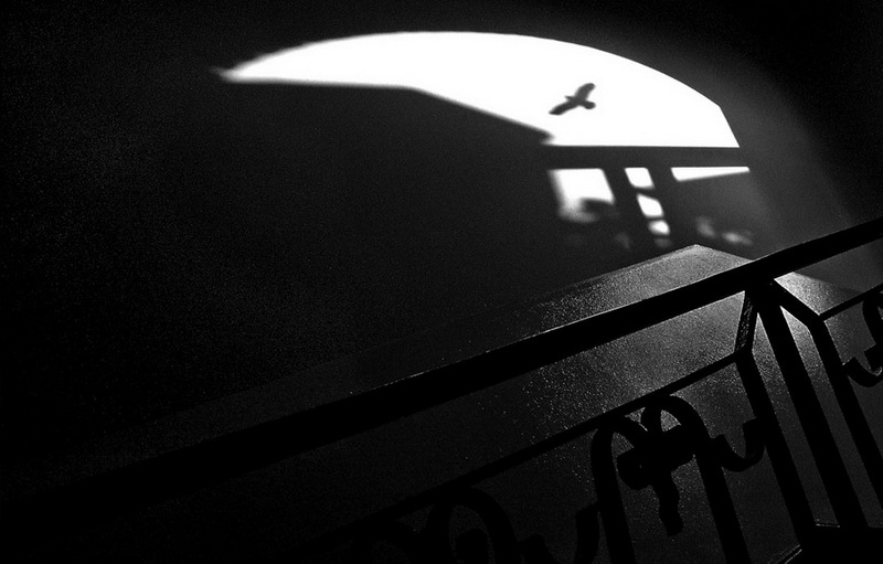 Norbert Gehrmann - im Treppenhaus Norbert Gehrmann - im Treppenhaus