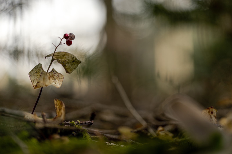 Fotoausstellung Faszination Alltag