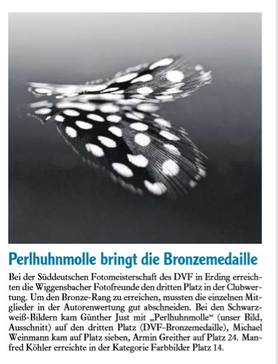 Süddeutsche Fotomeisterschaft 2020