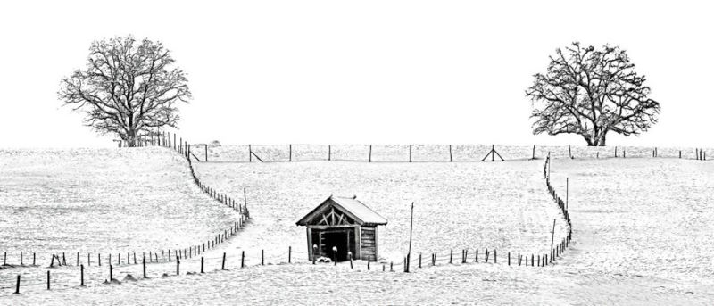Martin Gabler - Wintergrafik III Martin Gabler - Wintergrafik III