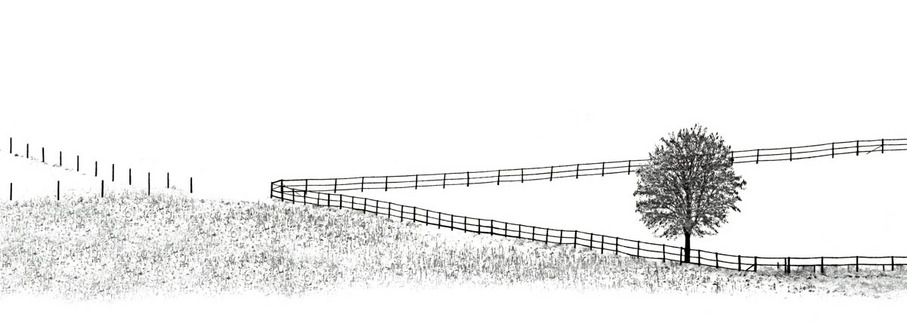 Martin Gabler - Wintergrafik II (URKUNDE) Martin Gabler - Wintergrafik II (URKUNDE)