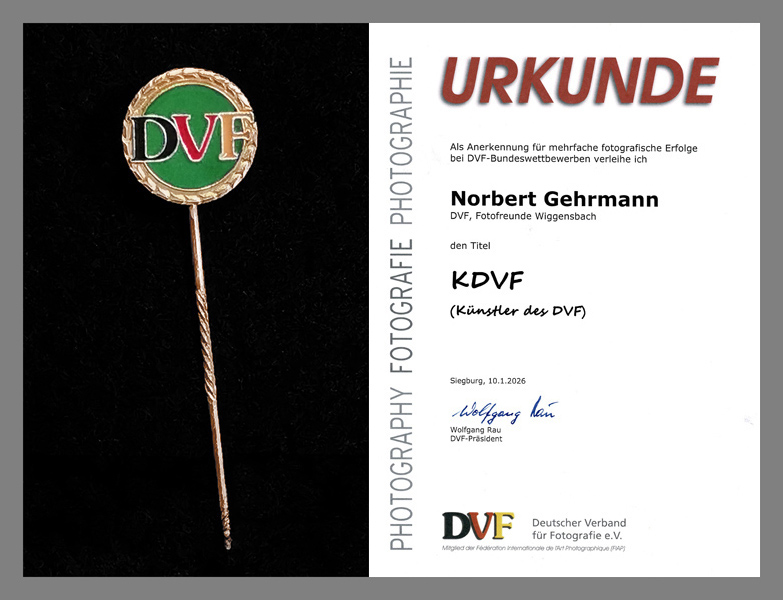 Ehrentitel KDVF für drei Fotofreunde