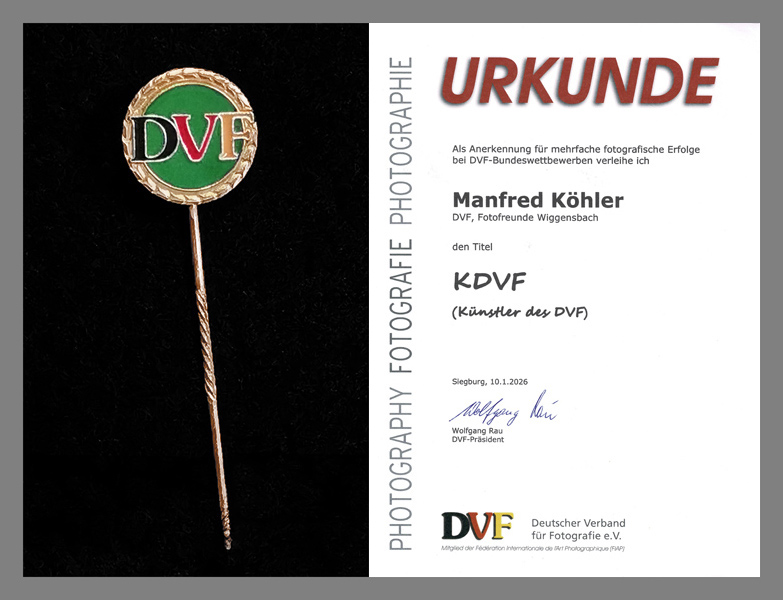 Ehrentitel KDVF für drei Fotofreunde