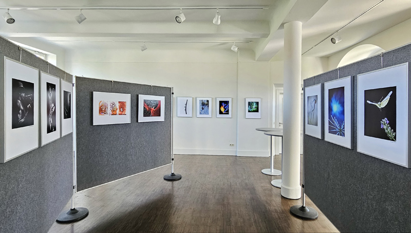 18.07.2026 IM FOKUS – Ausstellungseröffnung