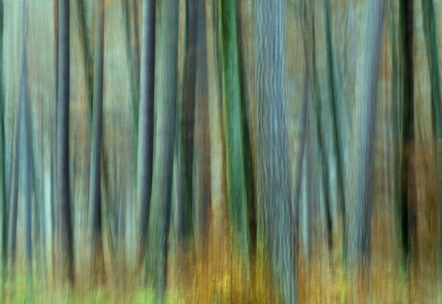 Galerie 3 - Bild 1 von Martin Möckel