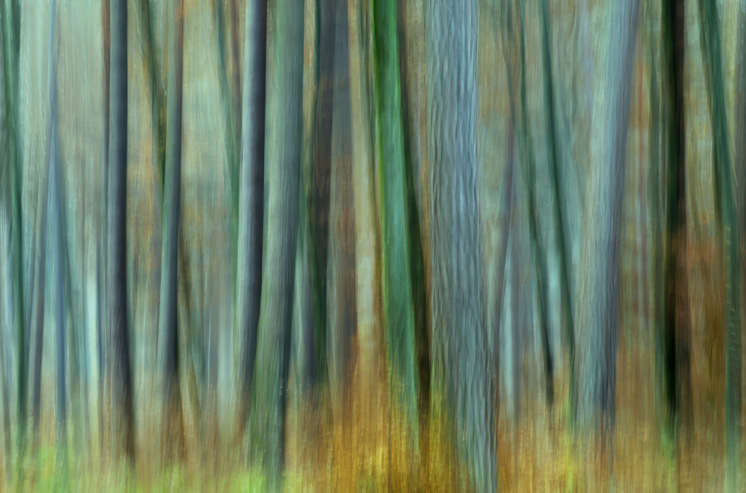 Galerie 3 - Bild 1 von Martin Möckel