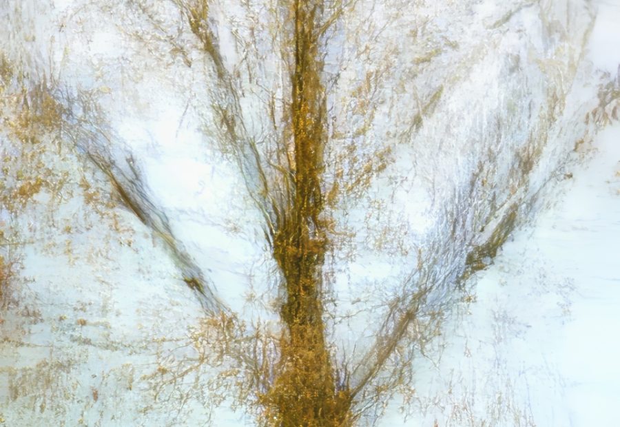 Galerie 4 - Bild 1 von Armin Paul-Proessler