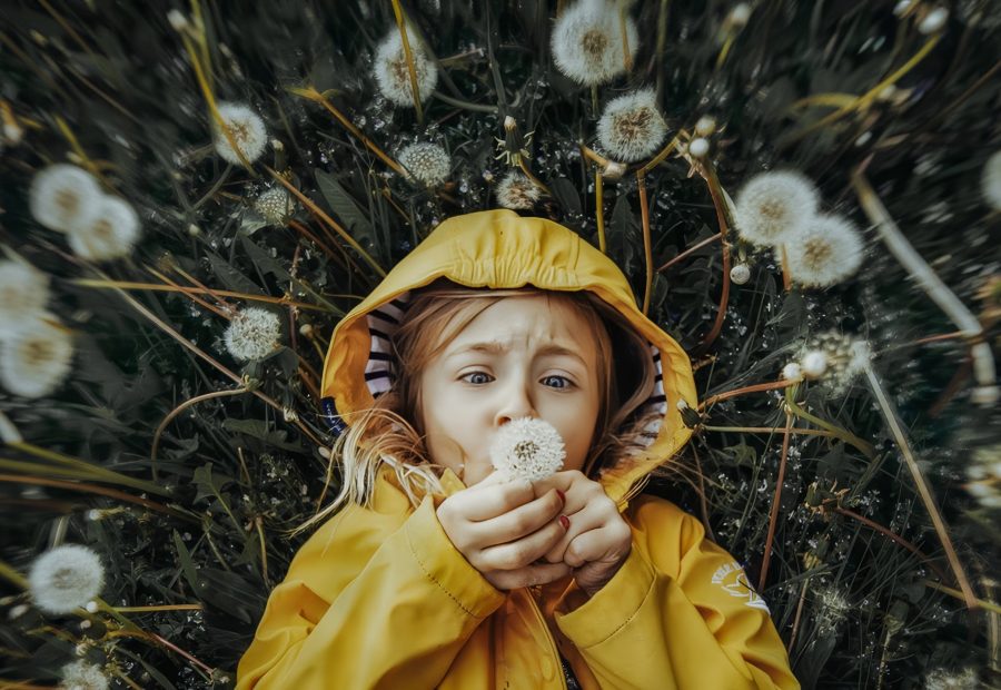 Galerie 2 - Bild 1 von Aleksandra Böck