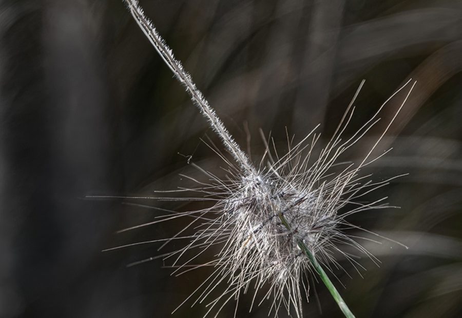 Galerie 3 - Bild 1 von Margarete Uhlich