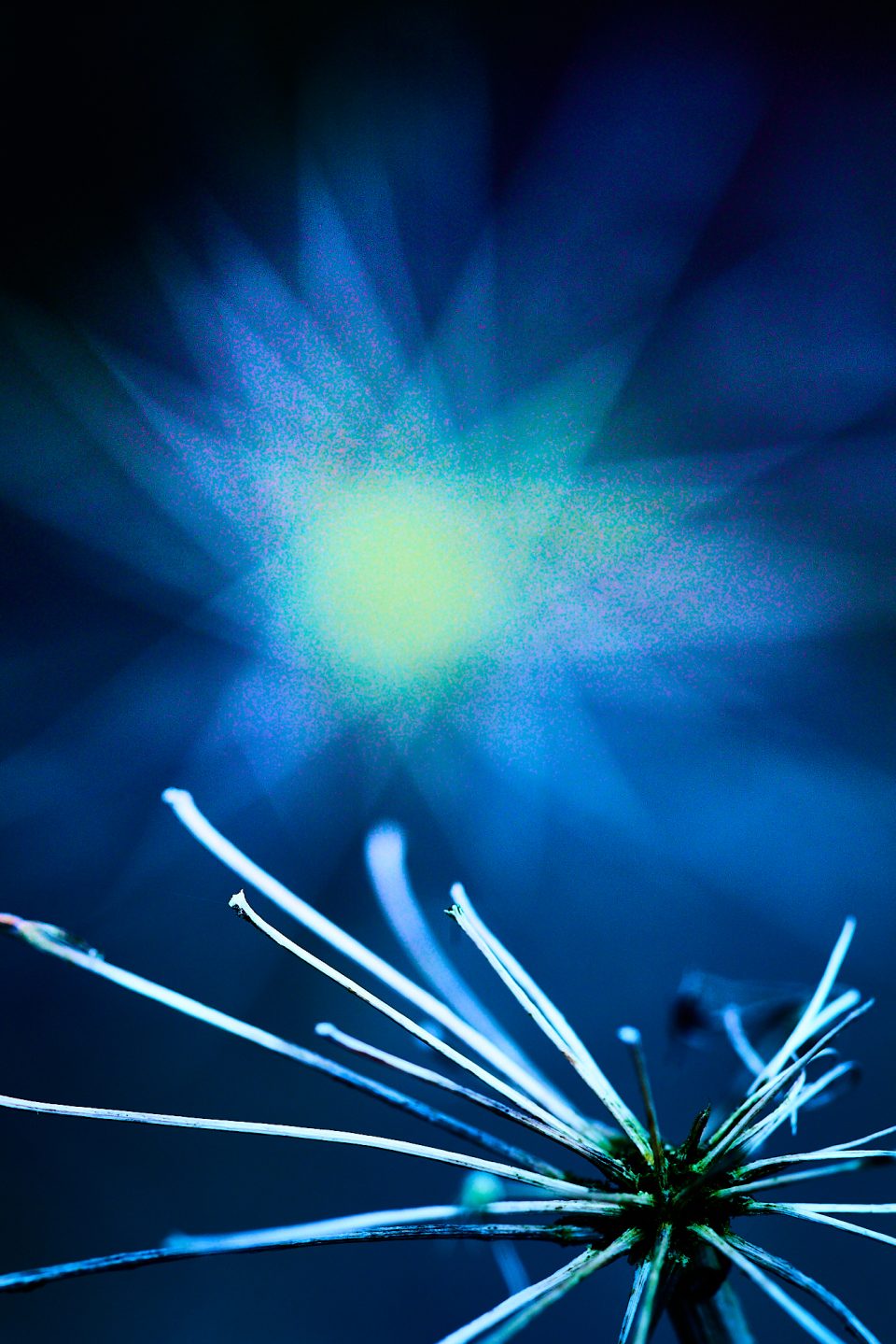 14 02 Franitza Bastian Adventsstern