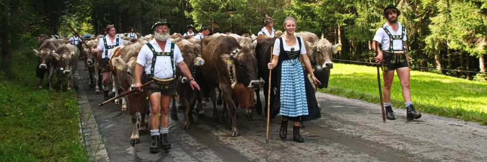 13. Platz - Elmar Jonietz 13. Platz - Elmar Jonietz