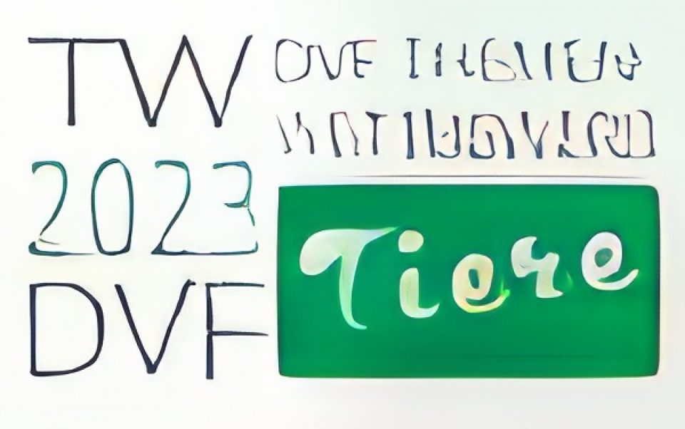 DVF-Themenwettbewerb 2023