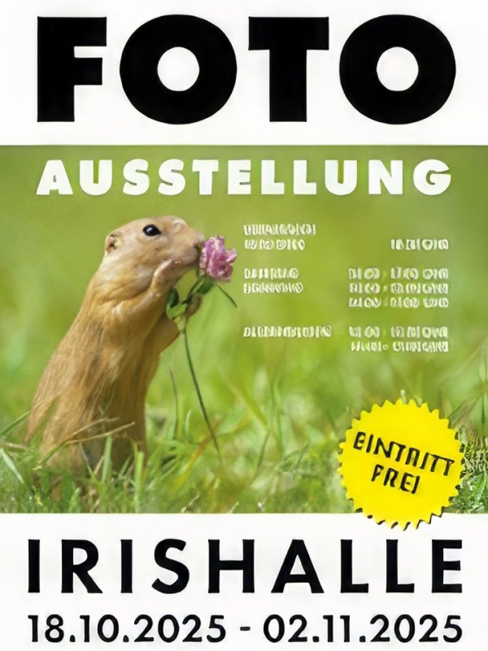 18.10 - 02.11.2025 Fotoausstellung Eriskirch