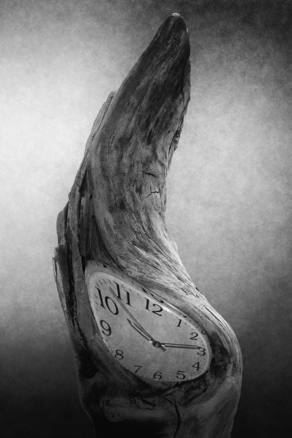 14 19 Passauer Bernd Die Zeit verrinnt 14 19 Passauer Bernd Die Zeit verrinnt