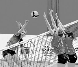 Gabler Martin - Volleyballaction